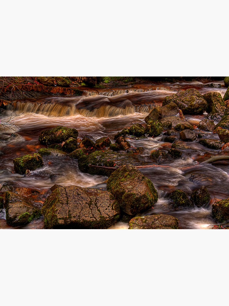 Campsie Glen (1) by Shuggie