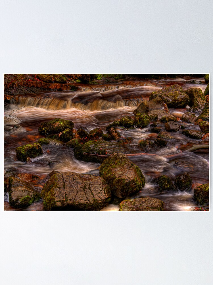 Alternate view of Campsie Glen (1) Poster