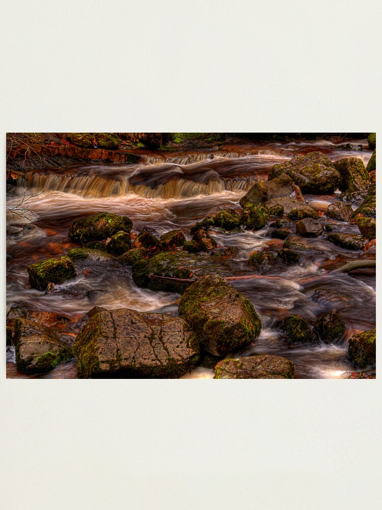 Alternate view of Campsie Glen (1) Photographic Print