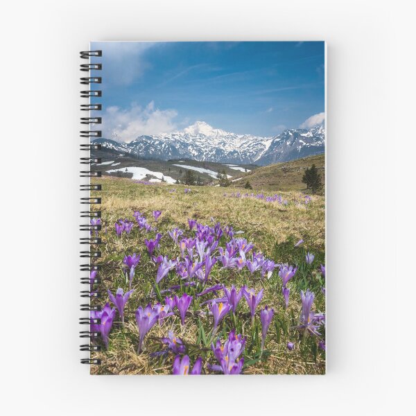 Item preview, Mountains and crocus flowers on Velika Planina, Slovenia designed and sold by Patrik Lovrin.