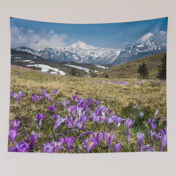 Item preview, Mountains and crocus flowers on Velika Planina, Slovenia designed and sold by Patrik Lovrin.