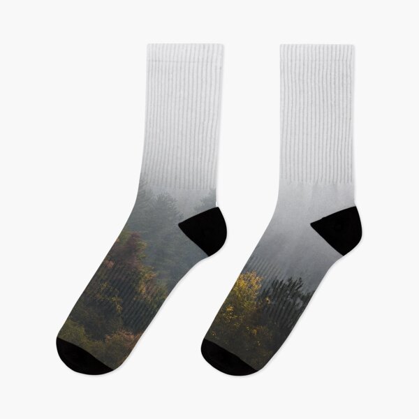 Item preview, Autumn forest wrapped in fog designed and sold by Patrik Lovrin.