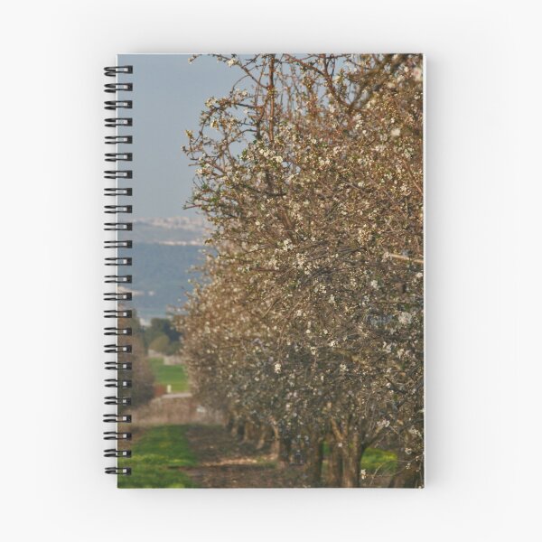 Item preview, Almond Trees designed and sold by Nira Dabush.