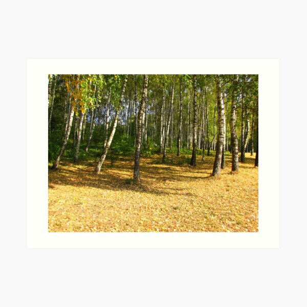Autumn in Ternopil Art Print