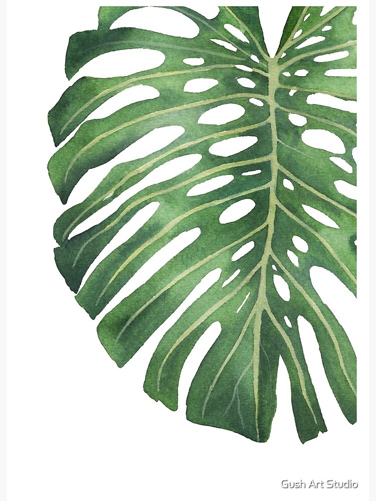 Monstera Plant Leaf 7 Art Board Print for Sale by Gush Art Studio