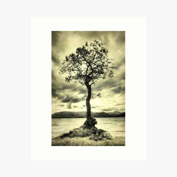 Item preview, Alone on the Shore designed and sold by Chris Cherry.