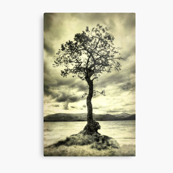 Item preview, Alone on the Shore designed and sold by Chris Cherry.