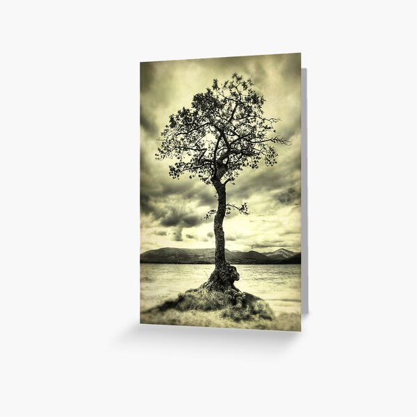 Item preview, Alone on the Shore designed and sold by Chris Cherry.