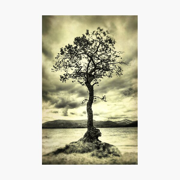 Item preview, Alone on the Shore designed and sold by Chris Cherry.