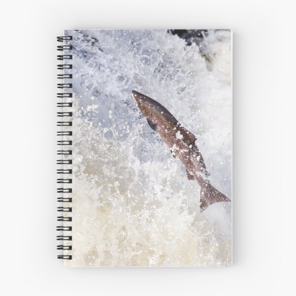 Item preview, Copy of large fish leaping on waterfall designed and sold by chanonry.