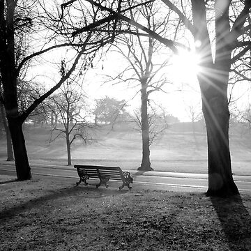 Artwork thumbnail, Greenwich Park 2 by rogerpanart