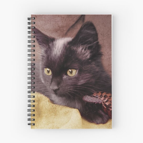Item preview, Black Cat Playing designed and sold by CuckooCards.