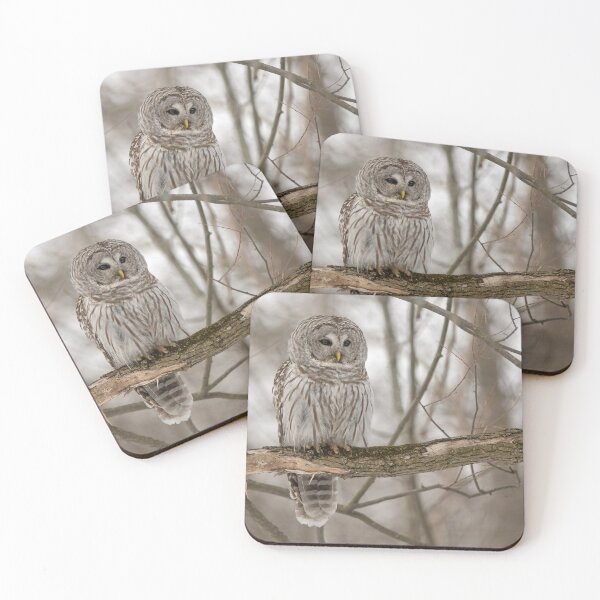 Item preview, Barred Owl designed and sold by Simpsonwildlife.