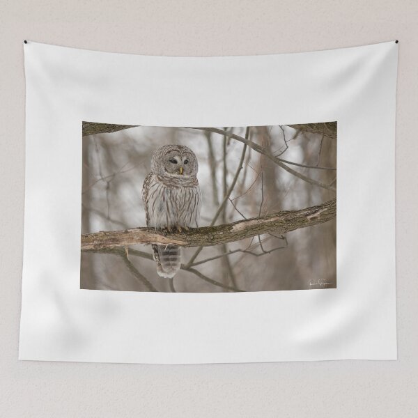 Item preview, Barred Owl designed and sold by Simpsonwildlife.