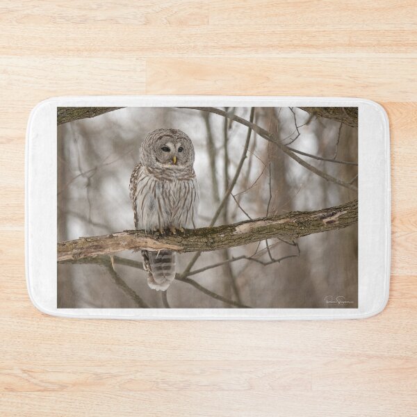 Item preview, Barred Owl designed and sold by Simpsonwildlife.