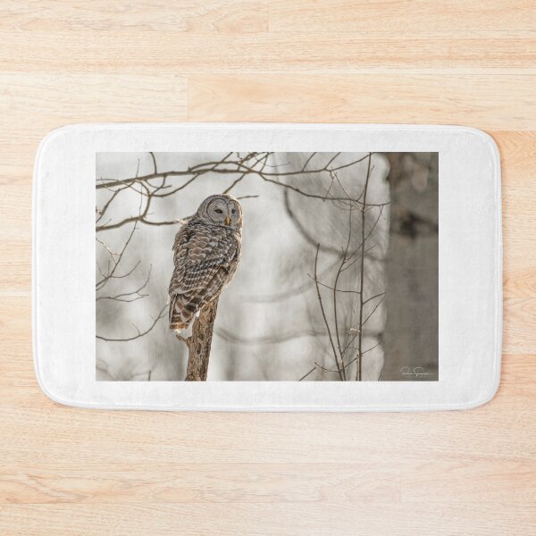 Item preview, Barred Owl afternoon hunt designed and sold by Simpsonwildlife.