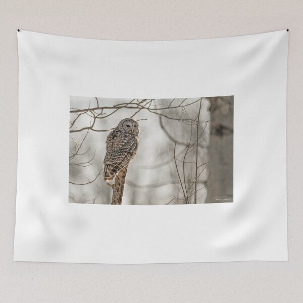 Item preview, Barred Owl afternoon hunt designed and sold by Simpsonwildlife.