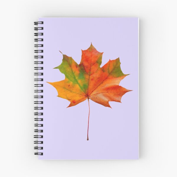 Item preview, maple leaf on a transparent background designed and sold by gallaart.