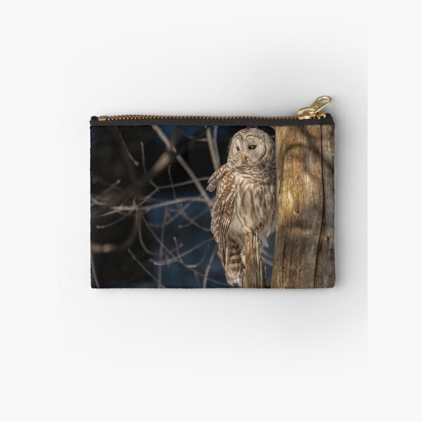 Item preview, Barred Owl late afternoon light designed and sold by Simpsonwildlife.