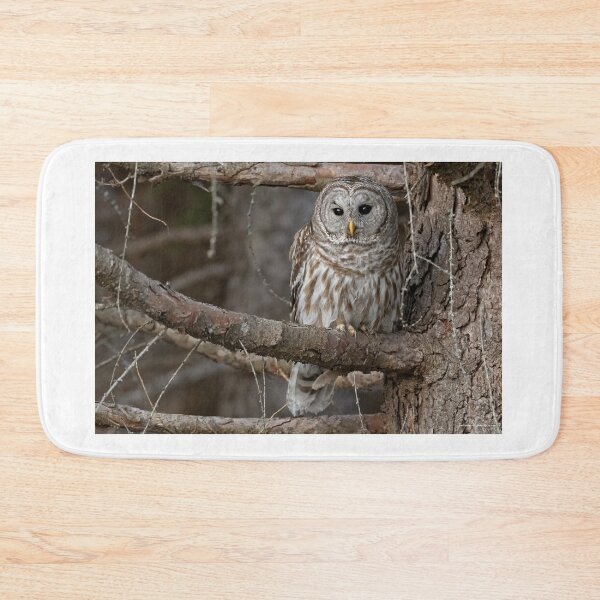 Item preview, Barred Owl designed and sold by Simpsonwildlife.