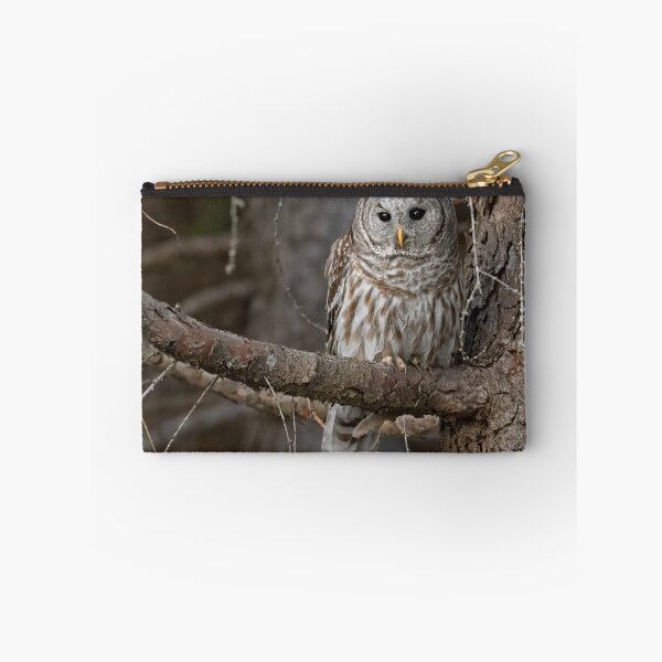 Item preview, Barred Owl designed and sold by Simpsonwildlife.