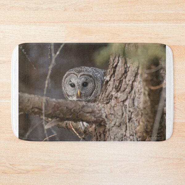 Item preview, Barred Owl hiding in the forest designed and sold by Simpsonwildlife.