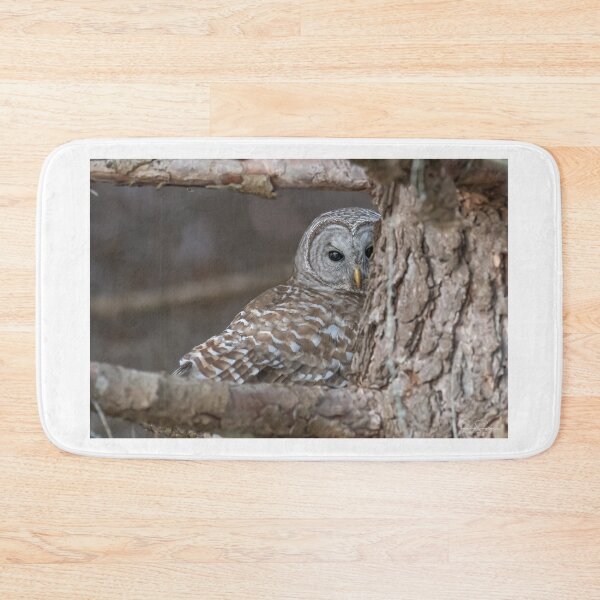 Item preview, Barred Owl trying to hide designed and sold by Simpsonwildlife.