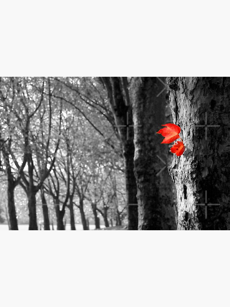 Thumbnail 3 of 3, Sticker, Autumn Leaf designed and sold by rogerpanart.