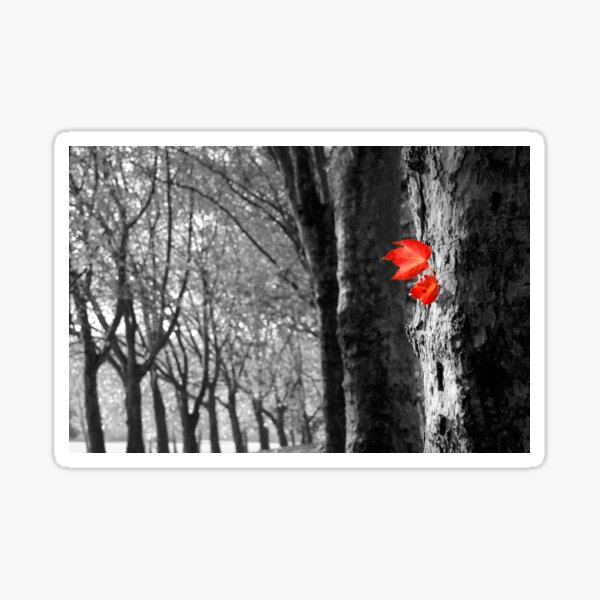 Item preview, Autumn Leaf  designed and sold by rogerpanart.