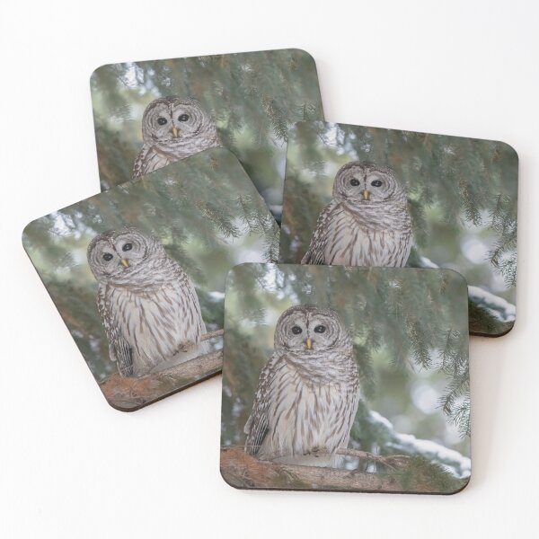 Item preview, Barred Owl in winter designed and sold by Simpsonwildlife.