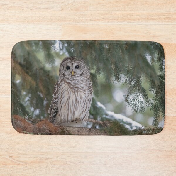 Item preview, Barred Owl in winter designed and sold by Simpsonwildlife.
