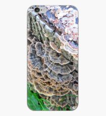 Turkey Tails iPhone Case