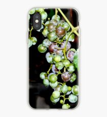 Grapes iPhone case iPhone Case
