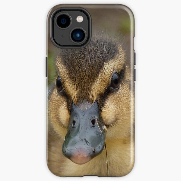 Dinky Duck i Cover NZ iPhone Tough Case