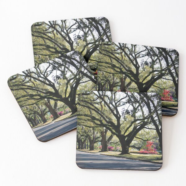 Item preview, Oaks And Azaleas designed and sold by Cynthia48.