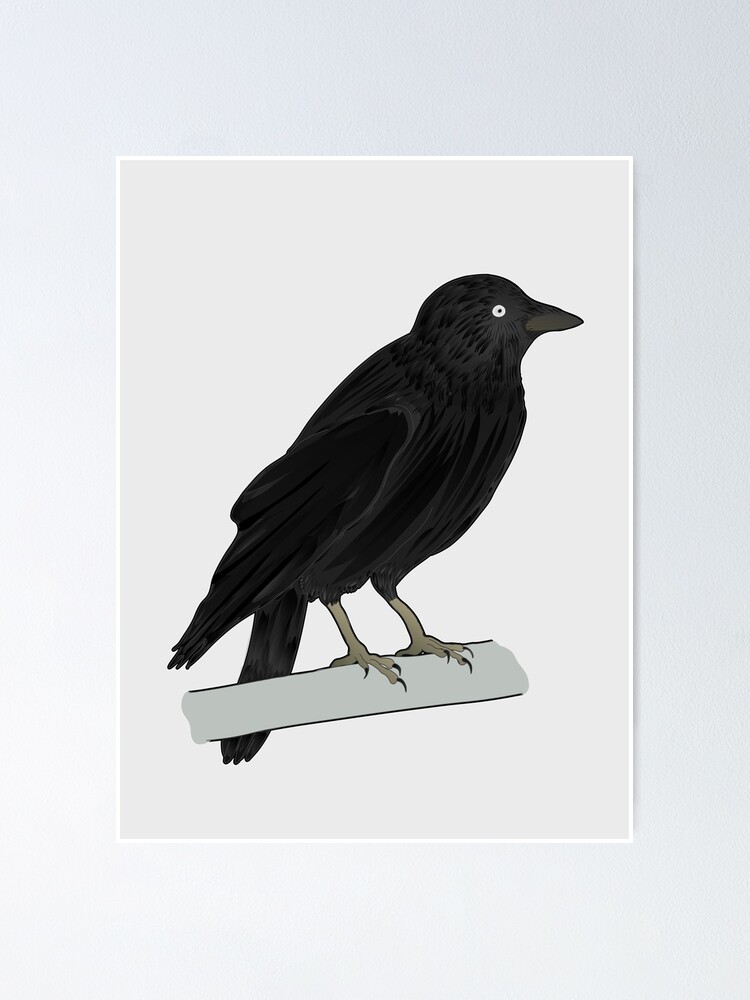 Poster Oiseau Petit Corbeau Ou Corneille Ou Choucas Des Tours Par Naturenature Redbubble