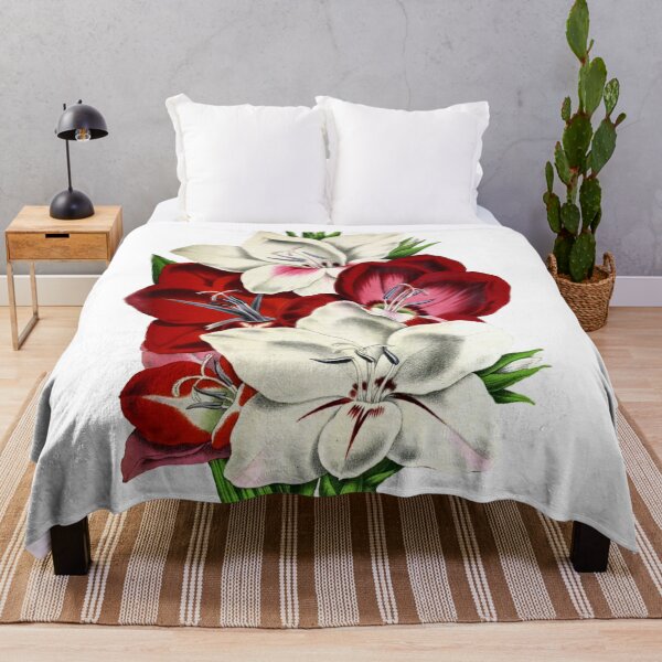 Item preview, Gladioulus Gandavensis designed and sold by imageresource.