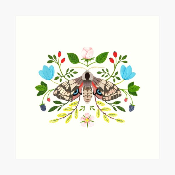 Moth with Berries and Rosehip Art Print