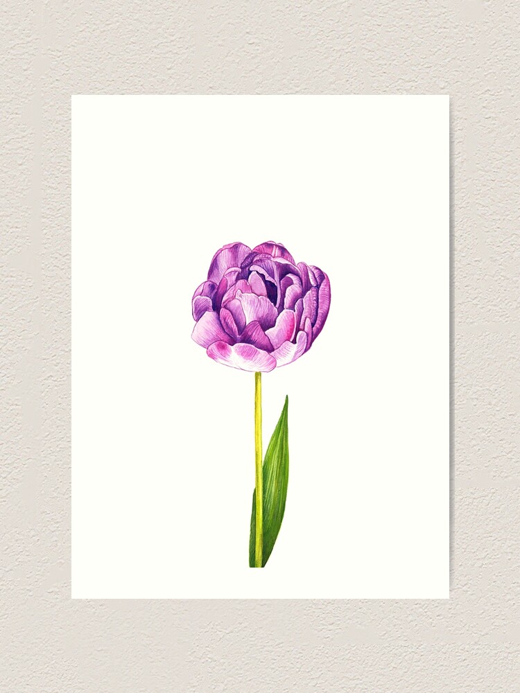 Alternate view of Purple Double Tulip Art Print