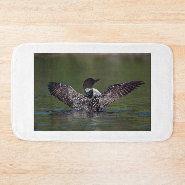 Item preview, Loon spreading it's wings designed and sold by Simpsonwildlife.