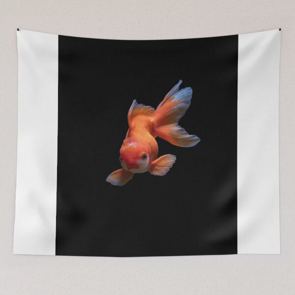 Item preview, COLORFUL GOLDEN FISH AT REDBUBBLE designed and sold by IMRAN  AHMED.