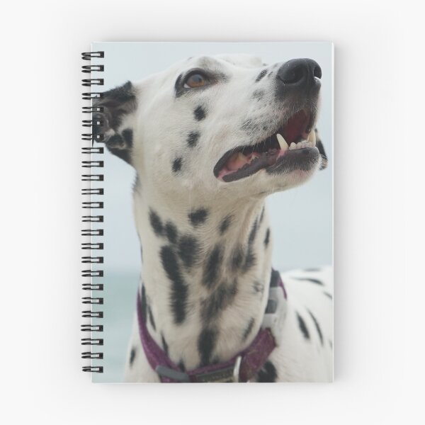Item preview, Attentive dog designed and sold by wolfgangrainer.