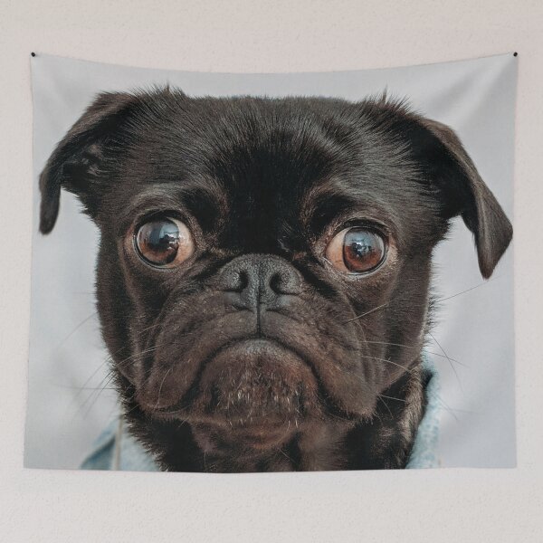 Item preview, Pug in shirt designed and sold by wolfgangrainer.