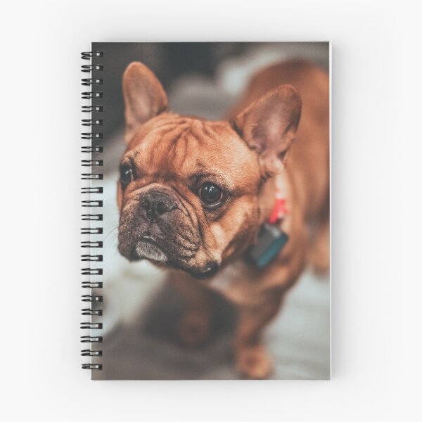 Item preview, Young baby bulldog designed and sold by wolfgangrainer.