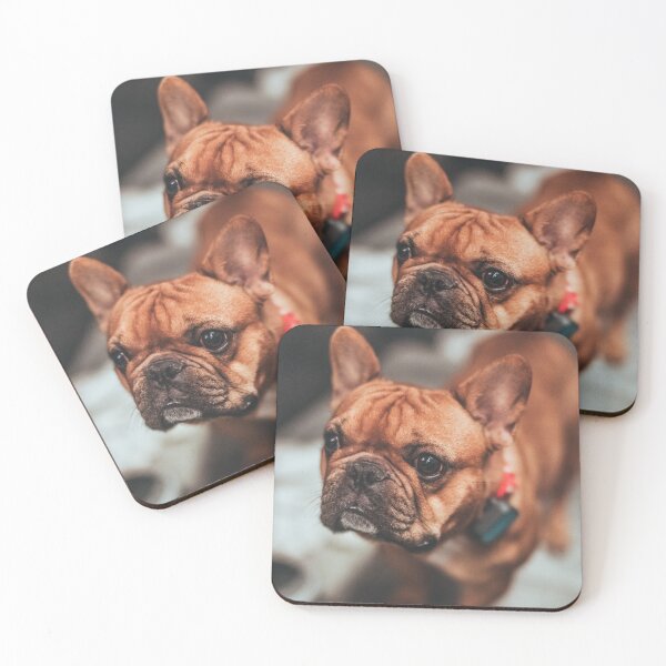 Item preview, Young baby bulldog designed and sold by wolfgangrainer.