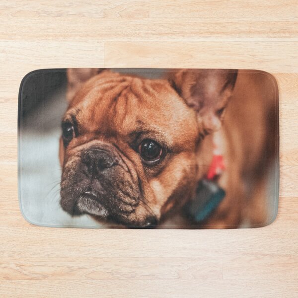 Item preview, Young baby bulldog designed and sold by wolfgangrainer.