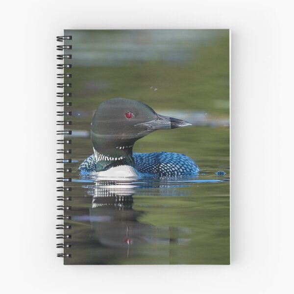 Item preview, Loon early spring designed and sold by Simpsonwildlife.