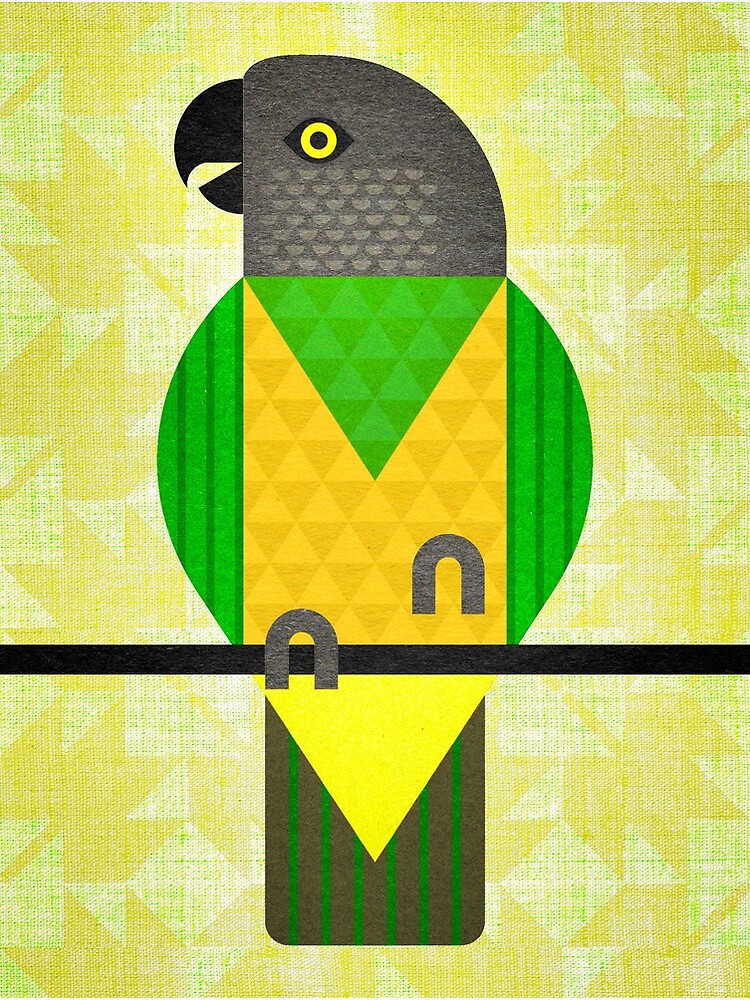 Senegal Parrot by scottpartridge