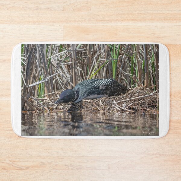 Item preview, Loon sitting on her nest. designed and sold by Simpsonwildlife.