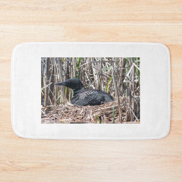 Item preview, Loon tending to her nest designed and sold by Simpsonwildlife.